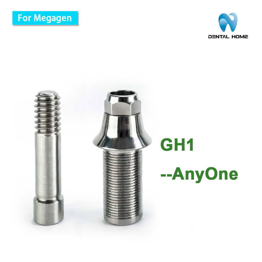 MegaGen Compatible Temporary Abutment | AnyOne Dental Implant System
