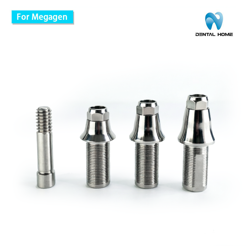 MegaGen Compatible Temporary Abutment | AnyOne Dental Implant System
