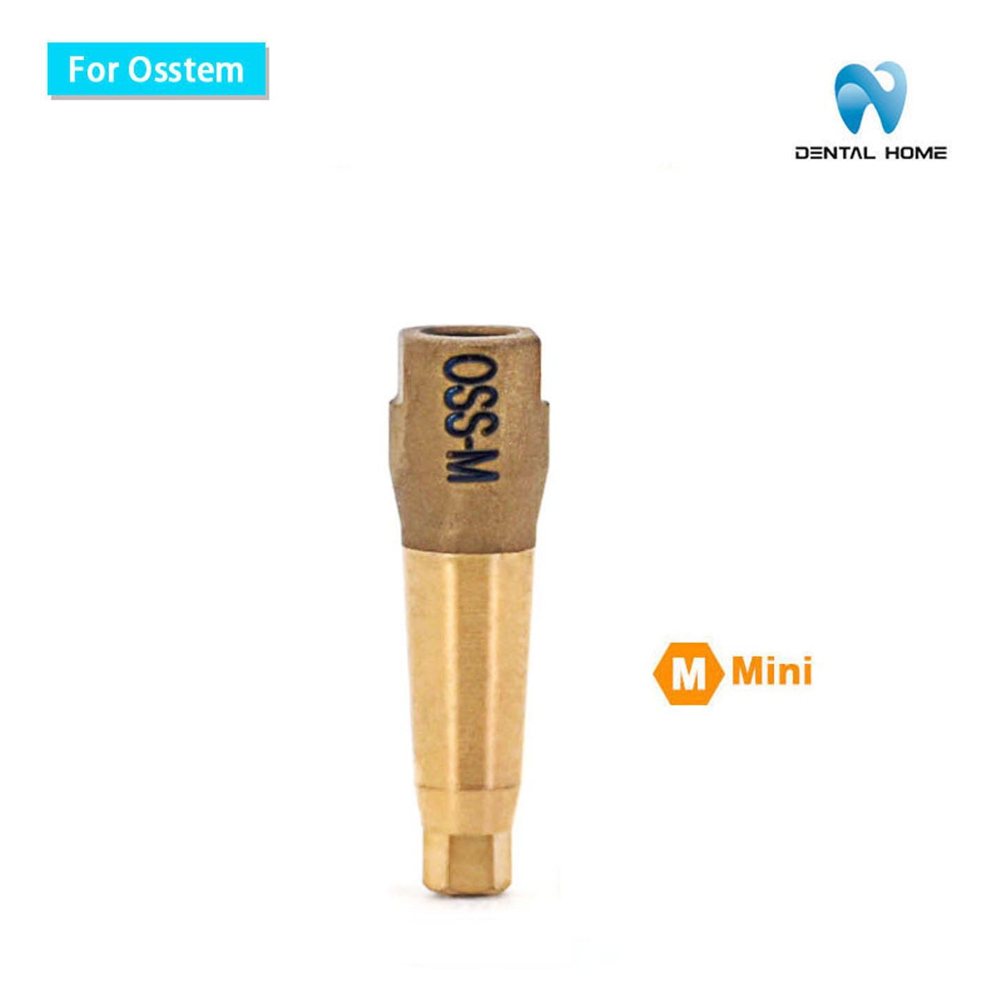 For Osstem scan body