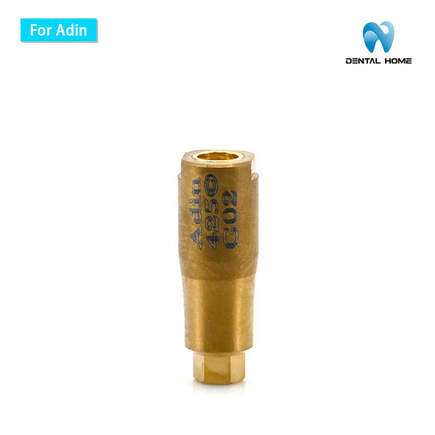 For Adin scan body